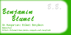 benjamin blumel business card